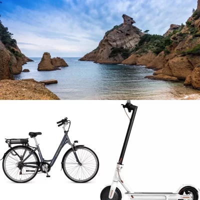 Trottifree_450315