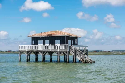 UBA-Tour-de-l039ile-aux-oiseaux-8211-11-08-2025-8211-Andernos-les-Bains_2983916