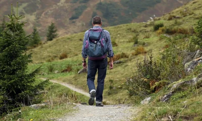 UN-ETE-AVEC-LE-PARC-RANDO-REFUGE-8211-23-08-2025-8211-Mont-Lozere-et-Goulet_2765247