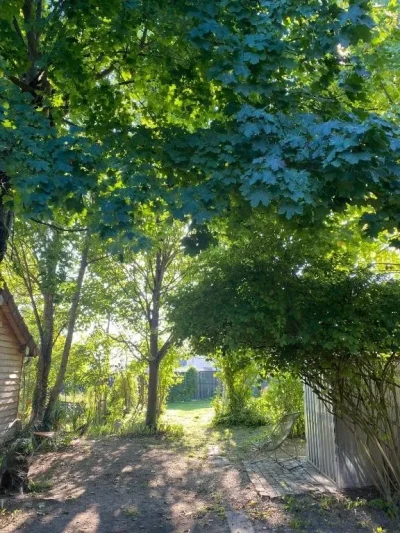 Un-Verger-dans-la-Ville-8211-Saint-Parres-aux-Tertres_1727611