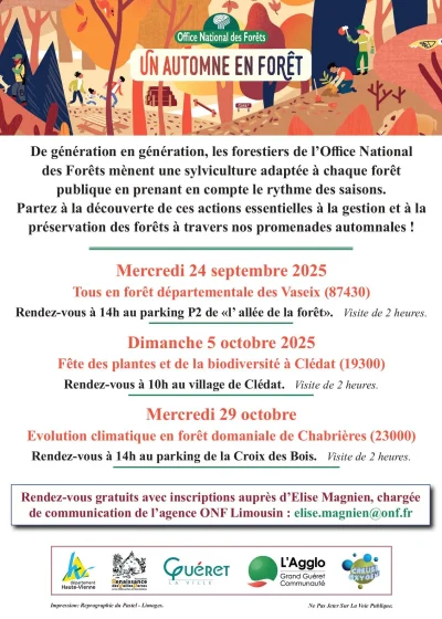 Un-automne-en-foret-8211-29-10-2025-8211-Gueret_3142691
