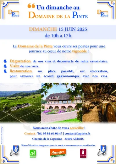 Un-dimanche-au-Domaine-de-la-Pinte-8211-15-06-2025-8211-Arbois_2439008