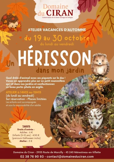 Un-herisson-dans-mon-jardin-8211-Menestreau-en-Villette_3876069