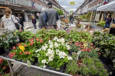 Un-jardin-dans-ma-ville-8211-18-05-2025-8211-Saint-Die-des-Vosges_2583242