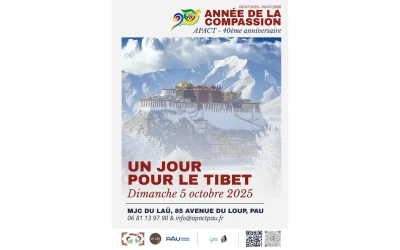 Un-jour-pour-le-Tibet-8211-05-10-2025-8211-Pau_3135142