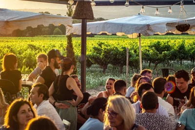 Un-verre-de-vin-dans-les-vignes-8211-Trets_2535446