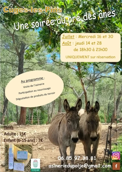 Une-soiree-au-pre-des-anes-8211-28-08-2025-8211-Cuges-les-Pins_2865654