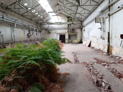 Une-usine-a-la-campagne-8211-21-09-2025-8211-Cussac_2274023