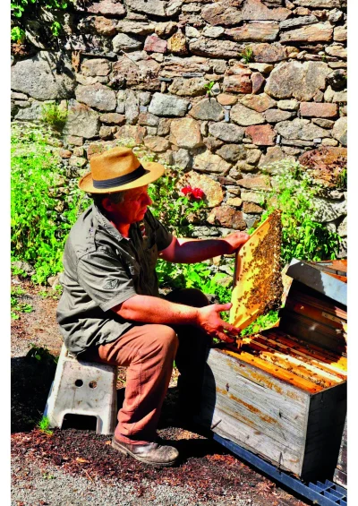 VISITE-COMMENTEE-DE-LA-RUCHE-DU-BERGER-DES-ABEILLES-8211-01-07-2025-8211-La-Salvetat-sur-Agout_2551412