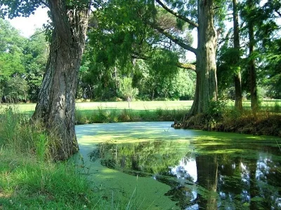 VISITE-DU-PARC-DE-LAUNAC-8211-08-06-2025-8211-Launac_2527742