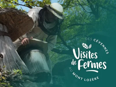 VISITES-DE-FERMES-2025-L039ARBRE-AUX-ABEILLES-8211-15-08-2025-8211-Pont-de-Montvert-8211-Sud-Mont-Lozere_2725599