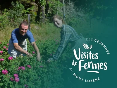 VISITES-DE-FERMES-2025-LES-PLANTES-DES-CEVENNES-8211-23-07-2025-8211-Sainte-Croix-Vallee-Francaise_2733874