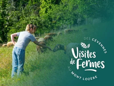 VISITES-DE-FERMES-2025-LES-SAVEURS-DU-CASTANET-8211-09-07-2025-8211-Le-Collet-de-Deze_2725629