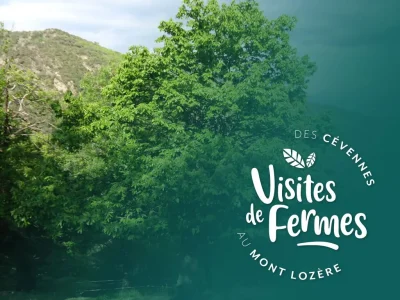 VISITES-DE-FERMES-2025-VERGER-D039AUTOMNE-8211-22-08-2025-8211-Ventalon-en-Cevennes_2725609
