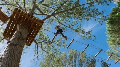 VIVEZ-DES-SENSATIONS-VERTIGINEUSES-DANS-LES-ARBRES-8211-Vendres_2144534