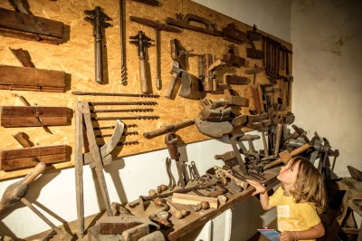 VIVEZ-UNE-EXPERIENCE-VIGNERONNE-UNIQUE-8211-Cazouls-les-Beziers_2146656