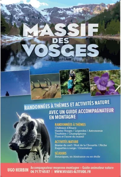 VOSGES-ALTITUDE-8211-ACCOMPAGNATEUR-EN-MONTAGNE-8211-Badonviller_2073159