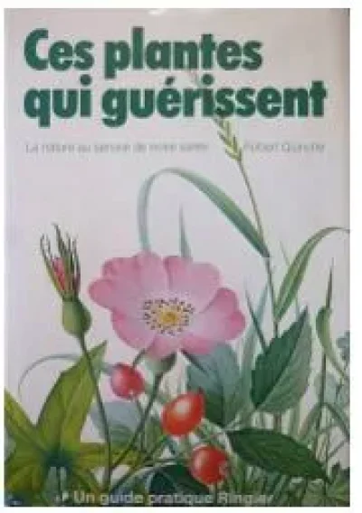 Val-de-Flore-ces-plantes-qui-guerissent-8211-17-07-2025-8211-Saint-Pardoux-Soutiers_2680053
