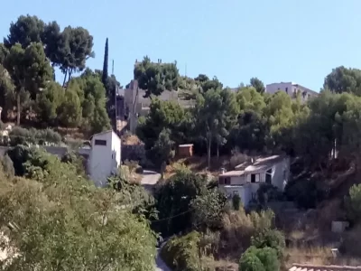 Vallon-de-Riaux-Haut_665113