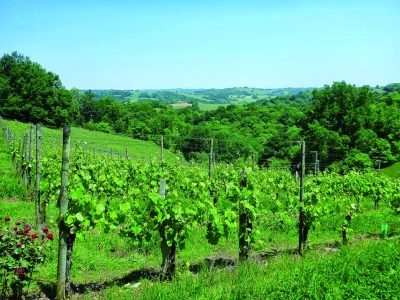 Vallon-du-Layous-8211-Lucq-de-Bearn_3434042