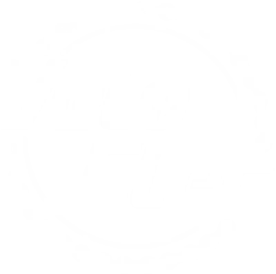 Velo-Elec-8211-Le-Poinconnet_2909507