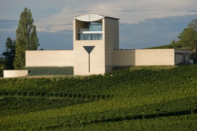 Vendanges-D039antan-8211-Vivez-l039heritage-d039une-parcelle-centenaire-au-Chateau-Faugeres-8211-11-10-2025-8211-Saint-Etienne-de-Lisse_3142711