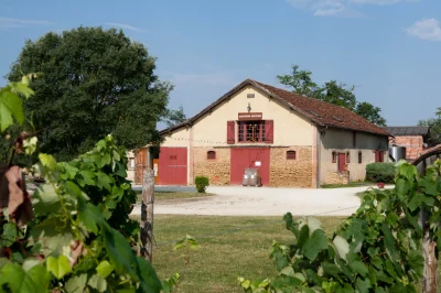 Vendangeur-d039un-jour-au-Chateau-Garreau-8211-13-09-2025-8211-Labastide-d039Armagnac_2183099