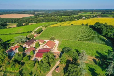Vendangeur-d039un-jour-au-Chateau-Garreau-8211-13-09-2025-8211-Labastide-d039Armagnac_2981641