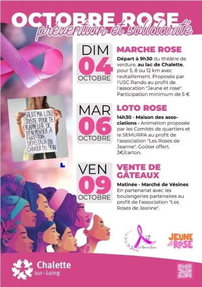 Vente-de-gateaux-8211-Octobre-Rose-8211-09-10-2026-8211-Chalette-sur-Loing_3864835