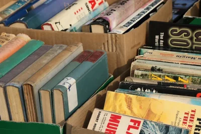 Vente-de-livres-de-la-mediatheque-8211-11-10-2025-8211-Saint-Junien_3142687