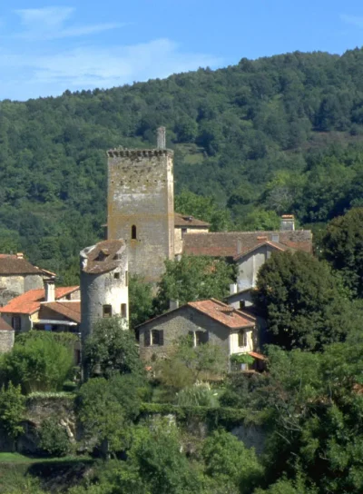 Vestiges-du-Fort-Medieval-8211-Cardaillac_3115065