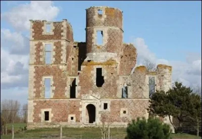 Vestiges-du-chateau-de-l039Isle-8211-Saint-Denis-en-Val_3222107