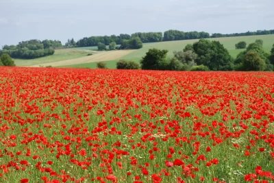 Via-Romana-8211-Saint-Samson-la-Poterie_1071180