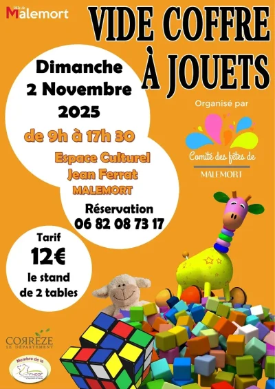 Vide-coffre-a-jouets-8211-02-11-2025-8211-Malemort_3165767