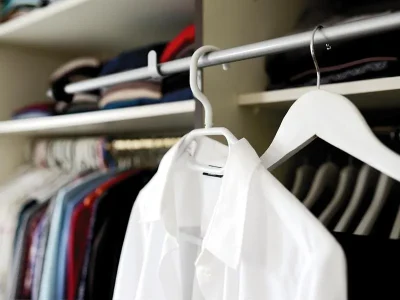 Vide-dressing-8211-10-05-2026-8211-Truchtersheim_3450213