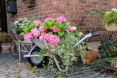 Vide-jardin-8211-26-10-2025-8211-Saint-Hilaire-les-Places_3198074