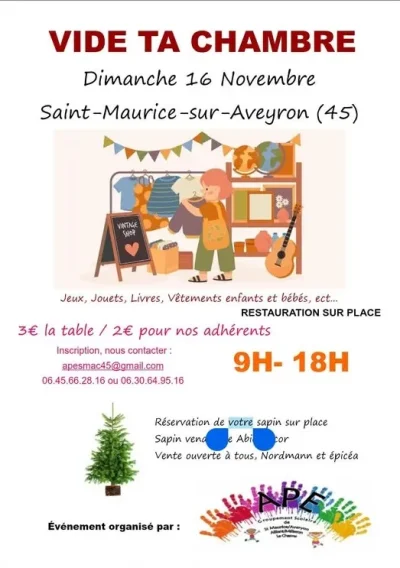 Vide-ta-chambre-8211-16-11-2025-8211-Saint-Maurice-sur-Aveyron_3235071
