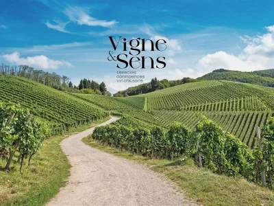 Vigne-et-Sens-8211-Ammerschwihr_3737391