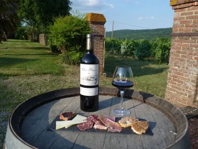 Vignes-amp-gourmandises-au-Clos-Baste-8211-25-08-2025-8211-Moncaup_2865344