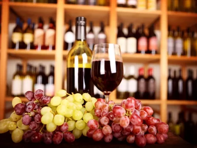 Vignoble-VIN-NU-visite-guidee-amp-degustations-8211-12-10-2025-8211-Boussac-Bourg_2843781