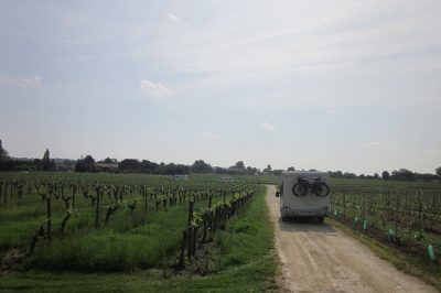 Vignobles-Lobre-et-fils_34110