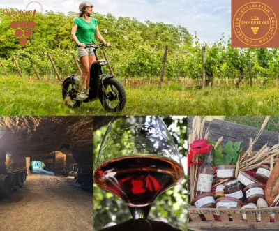 Vignobles-en-Scene-8211-Escapade-gourmande-entre-vignes-et-terroir-en-trottinette-tout-terrain-8211-18-10-2026-8211-Coteaux-sur-Loire_3807494-1