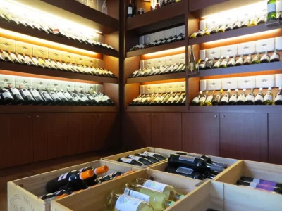 Vignobles-et-decouvertes_438762