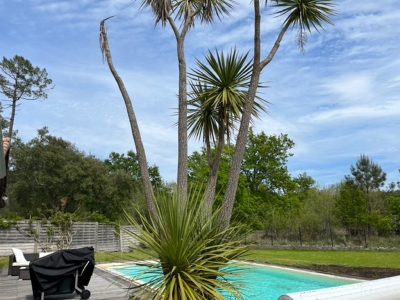 Villa-Hale039Ohana_112396