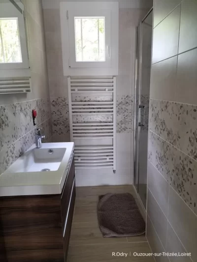 Villa-la-Trezee-8211-Ouzouer-sur-Trezee_1316166