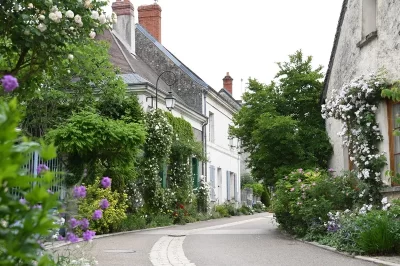 Village-de-Chedigny-quotJardin-Remarquablequot-et-fleur-d039or_442510