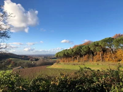 Village-de-Flaujagues_497069