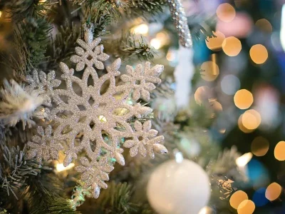 Village-de-Noel-8211-05-12-2026-8211-Senones_3851909