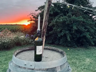 Vinobalades-diner-chez-le-vigneron-au-Chateau-Haut-Bourcier-8211-31-07-2025-8211-Saint-Androny_2556526