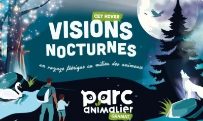Visions-Nocturnes-au-Parc-Animalier-8211-10-01-2026-8211-Gramat_3275699